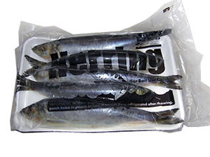 Grays Harbor herring bait
