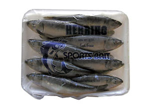 Grays Harbor herring bait