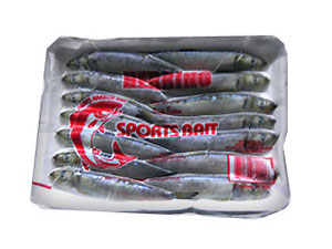 Grays Harbor herring bait