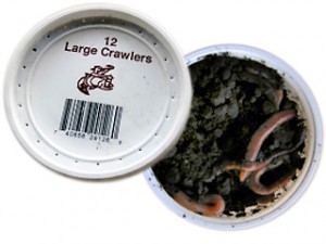 night crawlers