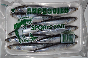 Grays Harbor Anchovies 6"